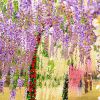 Artificial Wisteria Flowers Vine Silk Flower Wedding Garden Party Hanging Decor